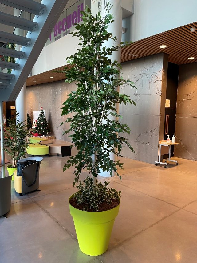 arbre-artificiel-interieur-haut-gamme