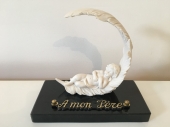 plaque-funeraire-inter-angel-plume