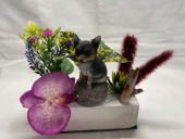 article-funeraire-breton-chien-columbarium