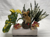petit-chien-decor-funeraire-columbarium