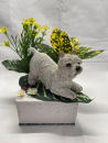 pierre-carre-chien-decor-columbarium