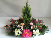 plateau-plante-sapin-fleur-saison