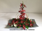 cadeau-offrir-fleur-noel