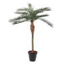10 - phoenix-plast 220 cm - 10435 - 71