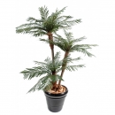 18 - palmier-3-troncs-new-tf 160 cm - 18175 - 11