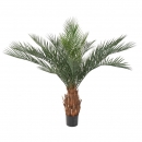19 - phoenix-tronc-n-plast-110 130 cm - 10983 - 71