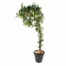 49 - vigne-round 200 cm - 10217 - 71