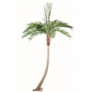 5 - coconut-courbe-new 270 cm - 16244 - 71