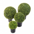 56 - buis-boule-pot- diam 30 cm - 14402 - 71