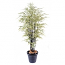 58 - bambou-black-shiroshima-large 125 cm - 11373 - 11
