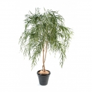 69 - saule 210 cm - 10156 - 71