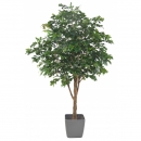 71 - chene-arbre-new 280 cm - 10892 - 71