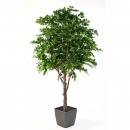73 - hetre- 280 cm - 11151 - 71