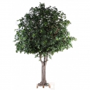 PUB 1 - chene-arbre 620 cm - 10514 - 71