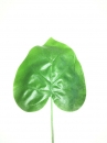 feuille-plate-1