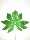 feuille-plate-3