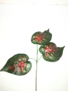 feuille-plate-rouge-4