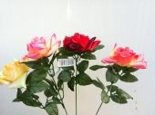 fl-rose-120