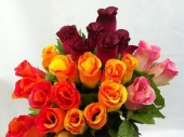 fl-rose-70