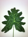 grande-feuille
