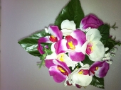 mini-piquet-orchide