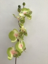 orchidee-green-a1-fleur-artificielle