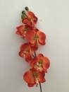 phalaenopsis-orange-b1-fleur-artificielle